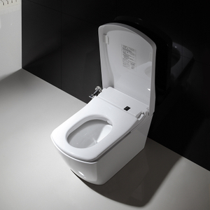 Inodoro de ba&ntilde;o WC de cer&aacute;mica est&aacute;ndar australiano con marca de agua WELS